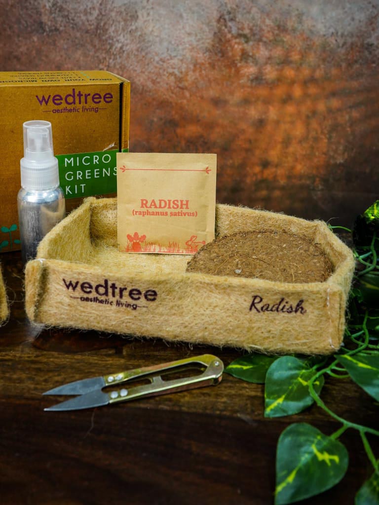 Microgreens Kit - 2 Seed Variant - Radish and Basil - BCG0102