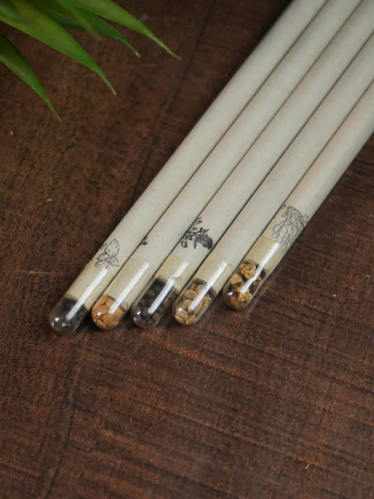 Paper Pencil - Seed - Set of 5 - BCG0104