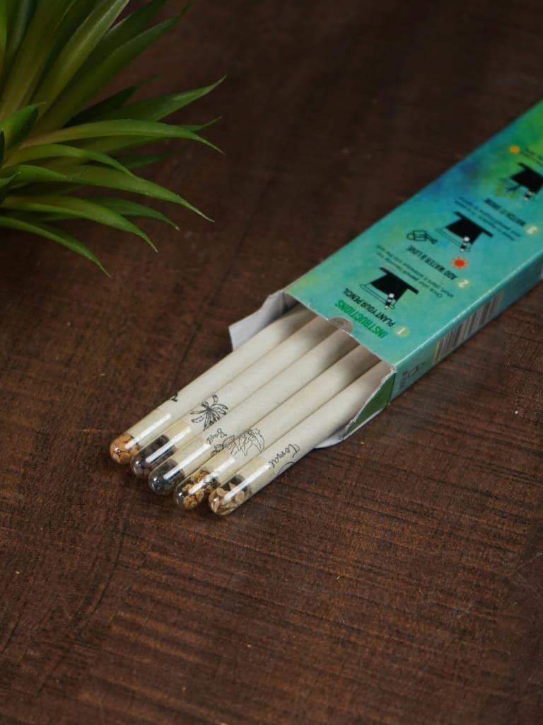 Paper Pencil - Seed - Set of 5 - BCG0104