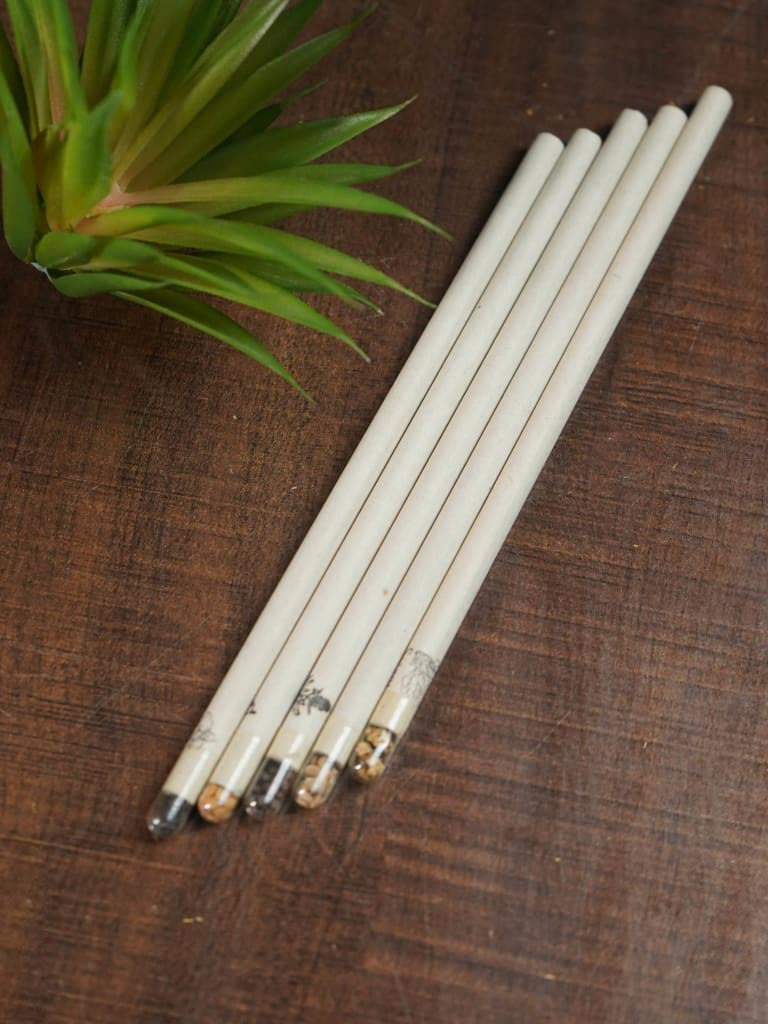 Paper Pencil - Seed - Set of 5 - BCG0104