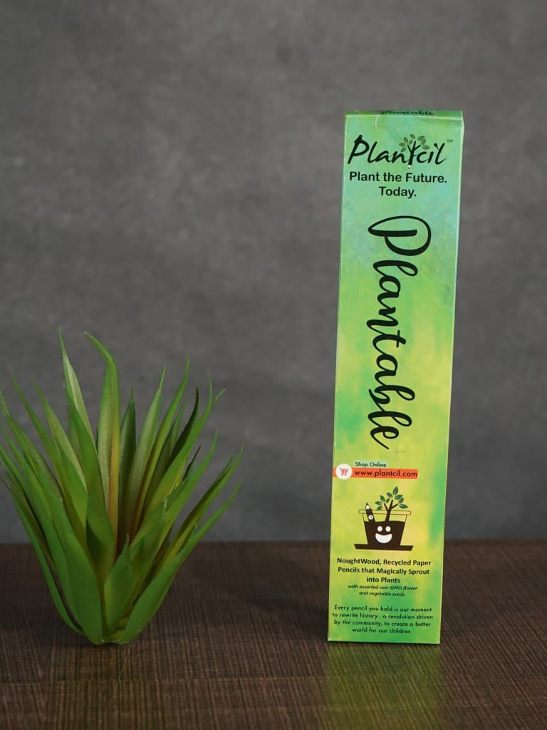 Paper Pencil - Seed - Set of 5 - BCG0104