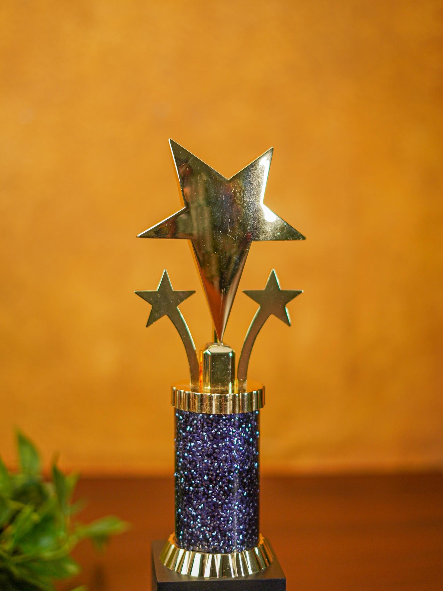 Gold Star Trophy - BCG0133