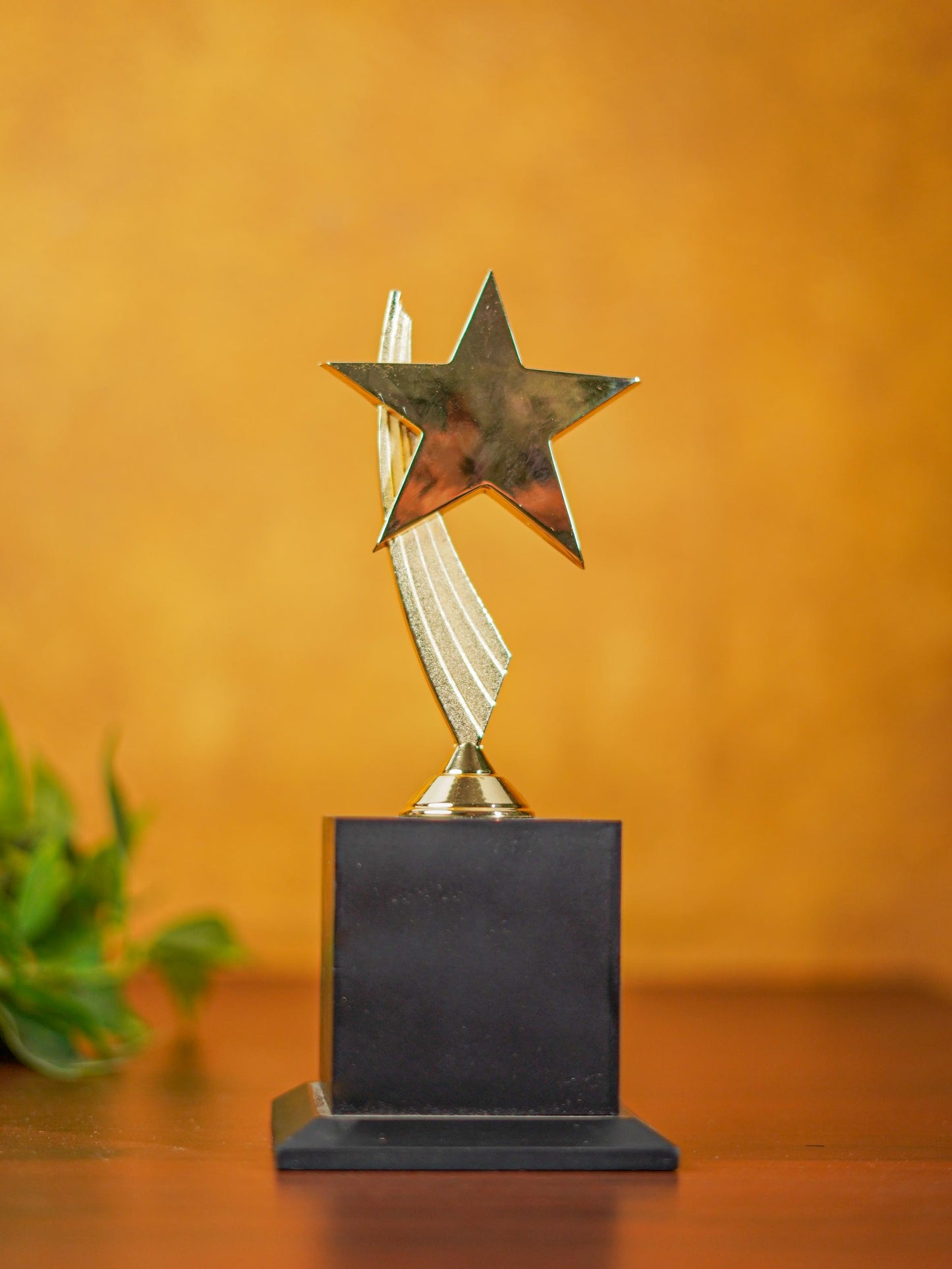 Gold Star Trophy - BCG0131