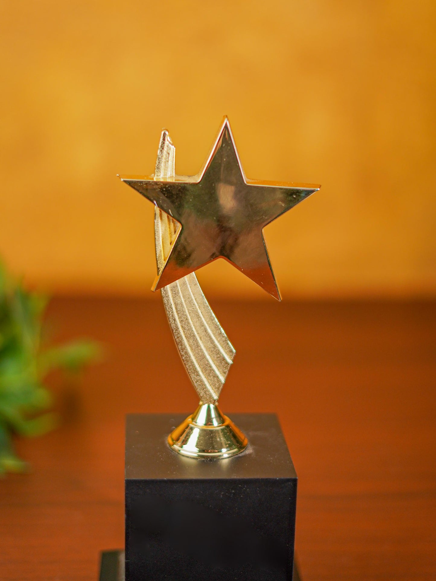 Gold Star Trophy - BCG0131