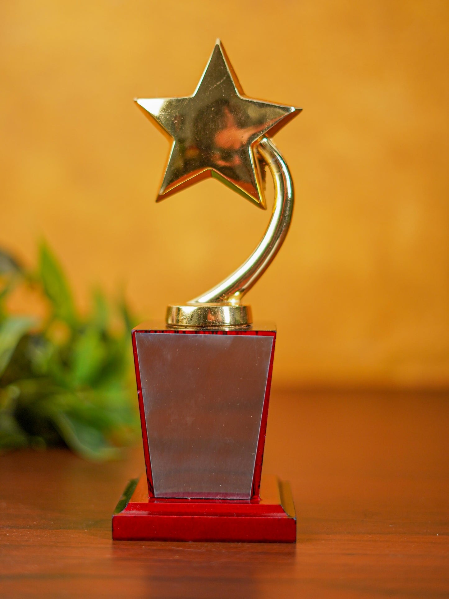 Gold Star Trophy - BCG0130