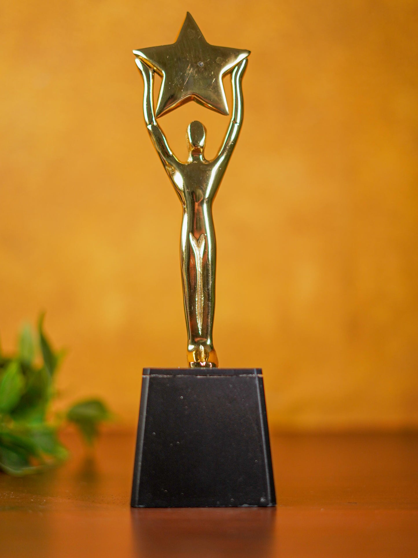Gold Star Trophy - BCG0132