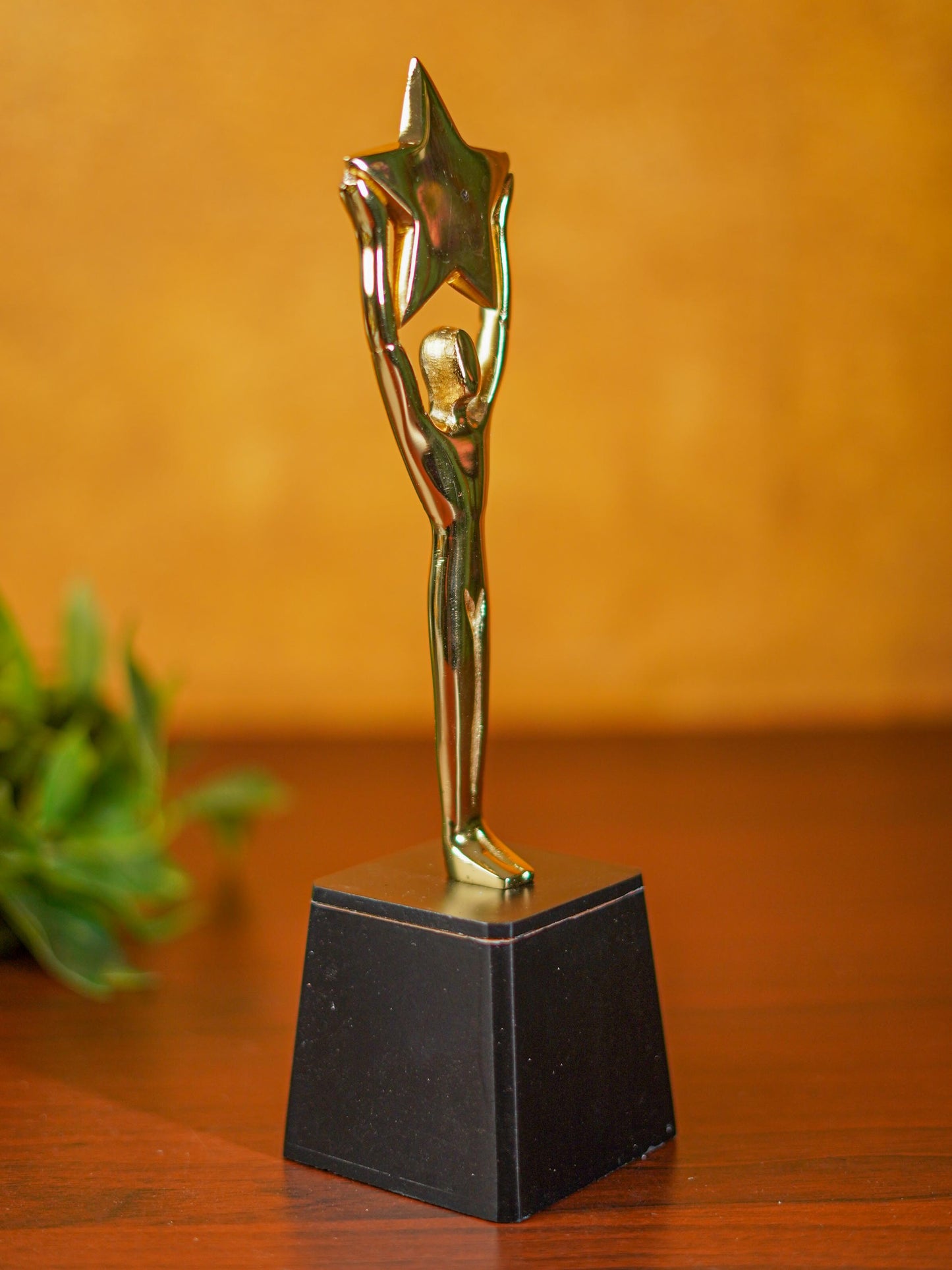 Gold Star Trophy - BCG0132