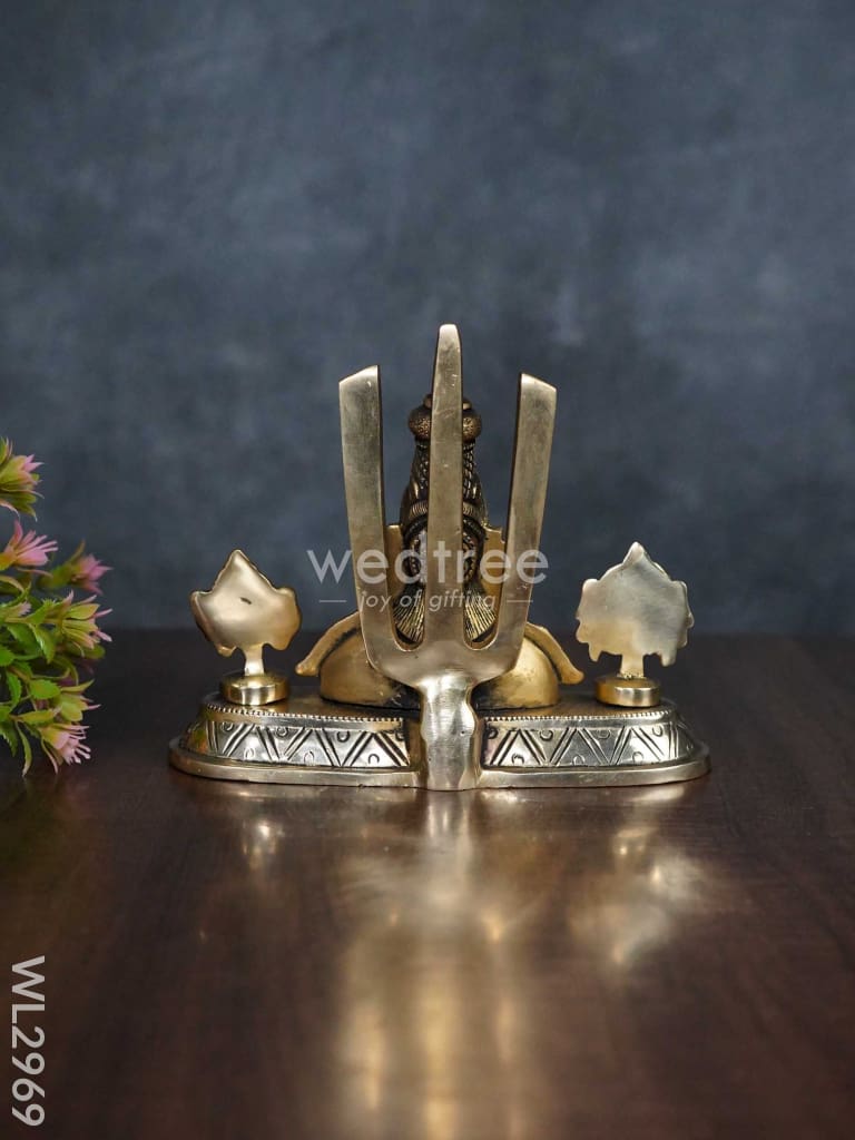 Brass Balaji Idol with Shank-Chakra-Nama - WL2969