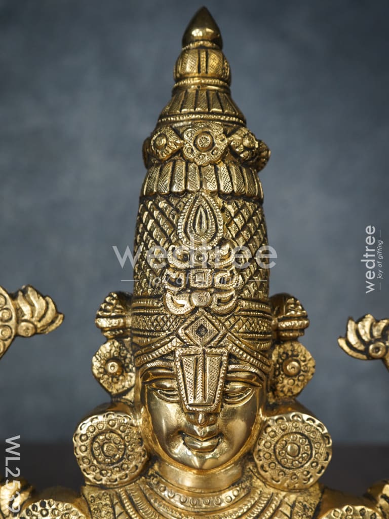 Brass Balaji Wall Hanging - WL2539