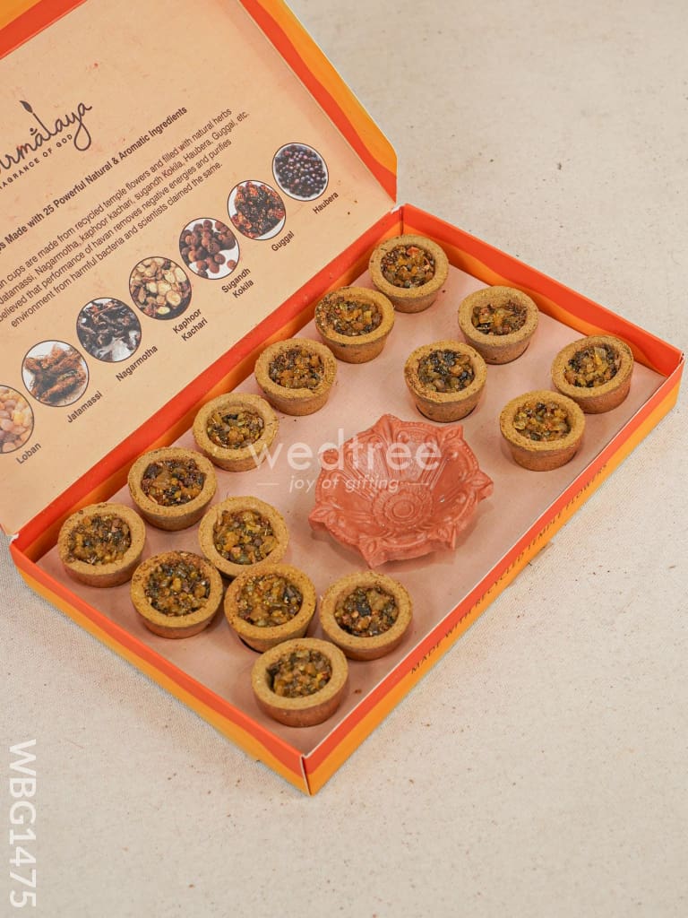Kesar Sandalhood Haven Cups - WBG1475