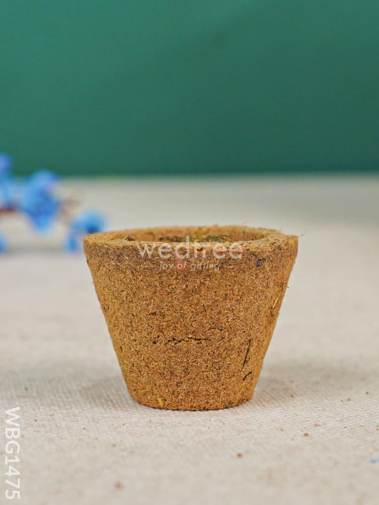 Kesar Sandalhood Haven Cups - WBG1475