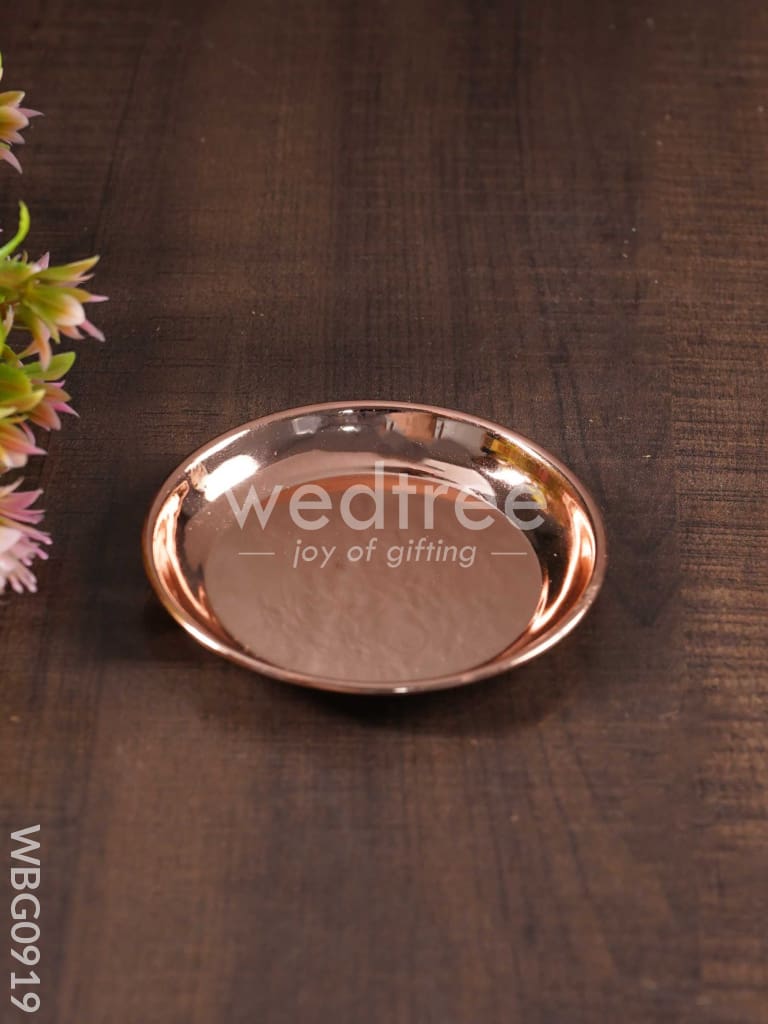 Lucky Tortoise with Copper Plate - WBG0919