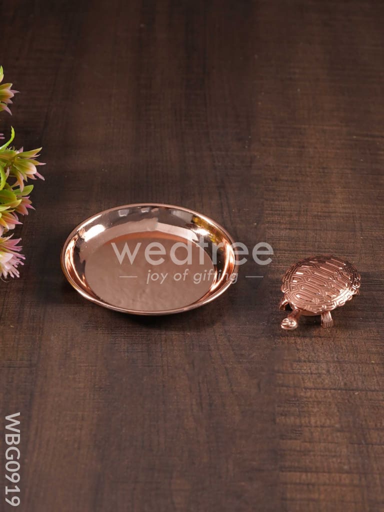 Lucky Tortoise with Copper Plate - WBG0919