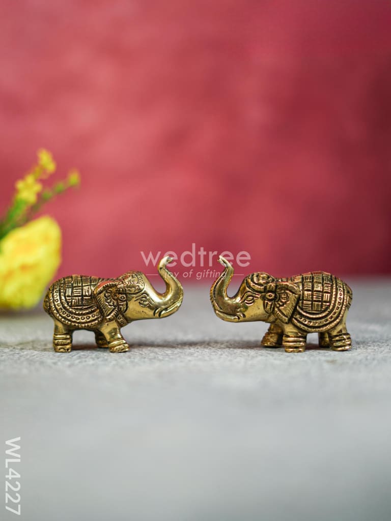 Varamahalakshmi Pooja Essential Kit - WL4227