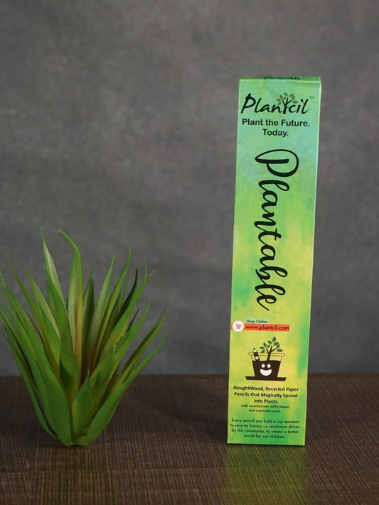 Paper Pencil - Seed - Set of 5 - BCG0104