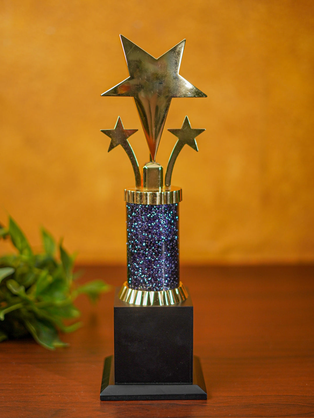 Gold Star Trophy - BCG0133