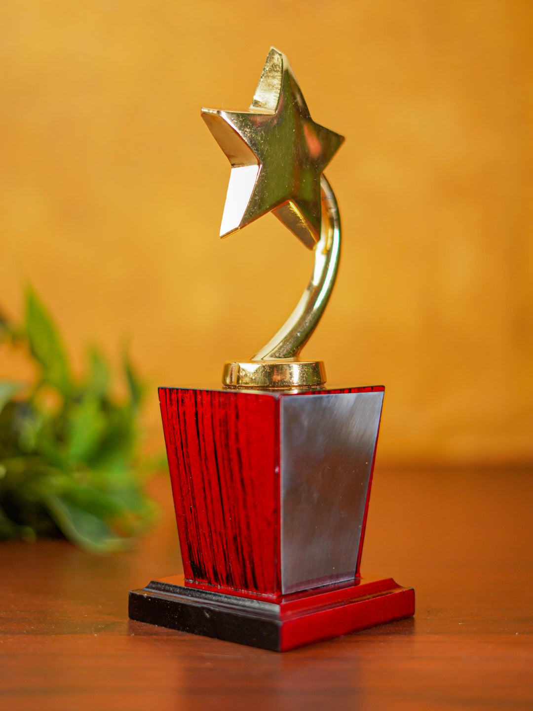 Gold Star Trophy - BCG0130