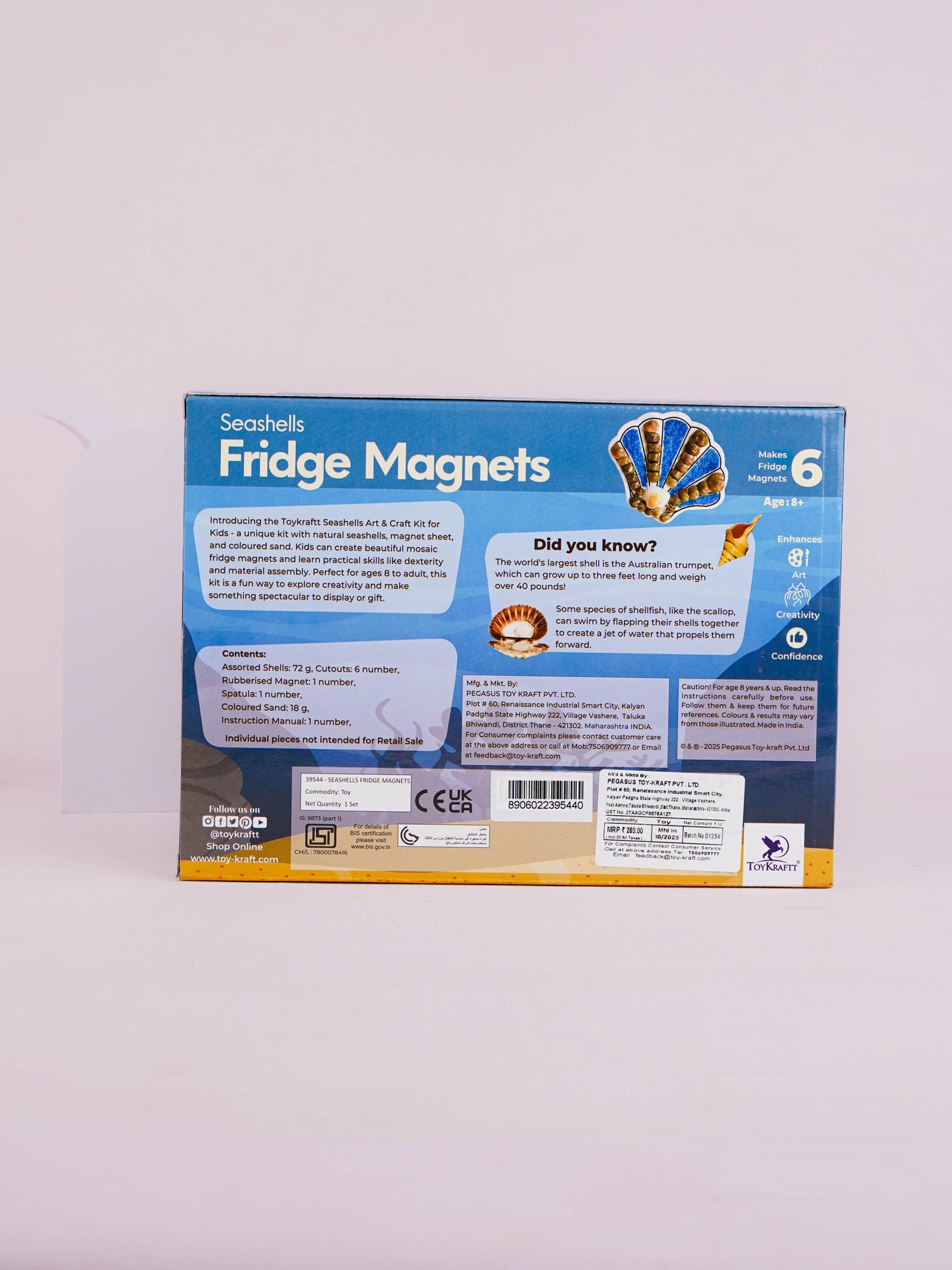 DIY Kit - Fridge Magnet Set with Seashell Design - WBG1937