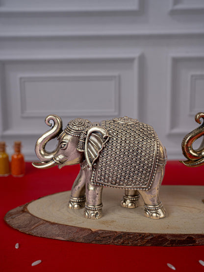 Brass Antique Elephant Idol - Set of 2 - WL5418
