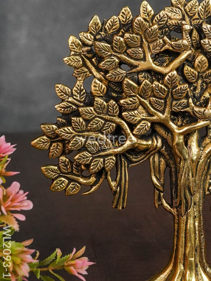 Brass Kalpavriksha Tree with Root - WL2093
