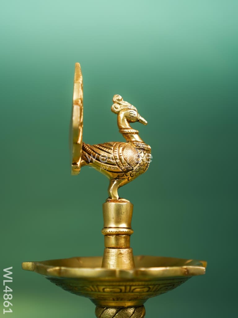 Brass Peacock Diya - 8 inch - WL4861