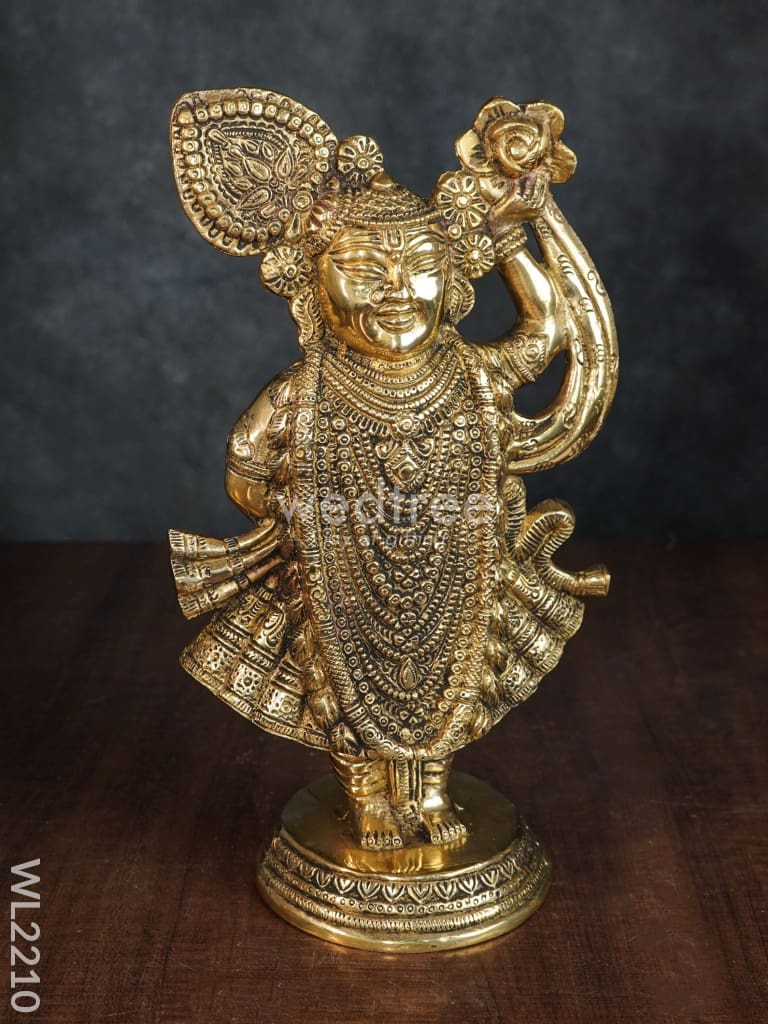 Brass Shreenathji Idol - WL2210-1