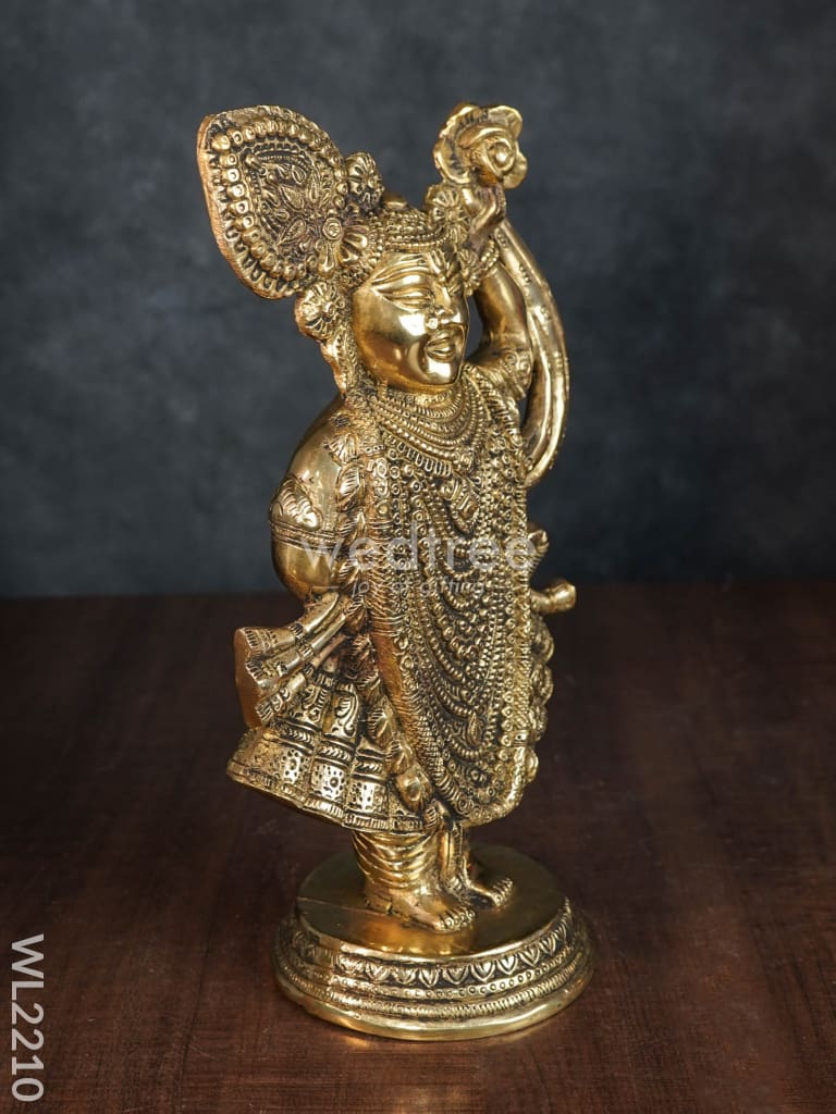 Brass Shreenathji - WL2210