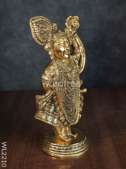 Brass Shreenathji - WL2210