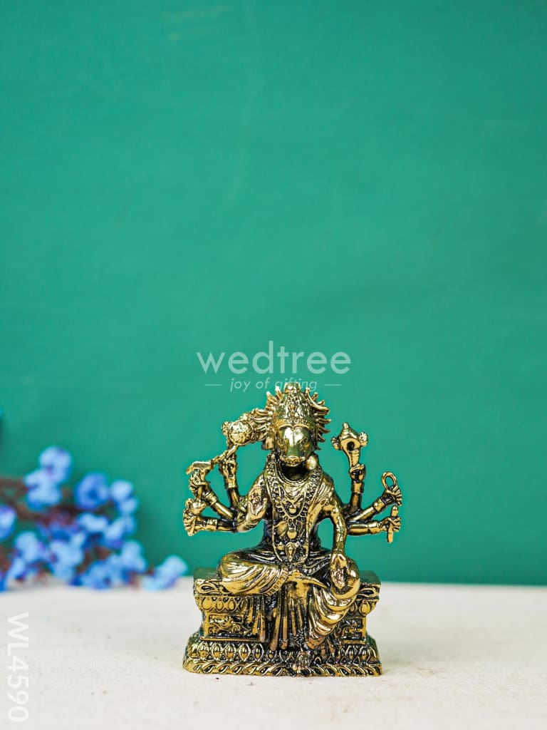 Brass Varahi Idol - WL4590