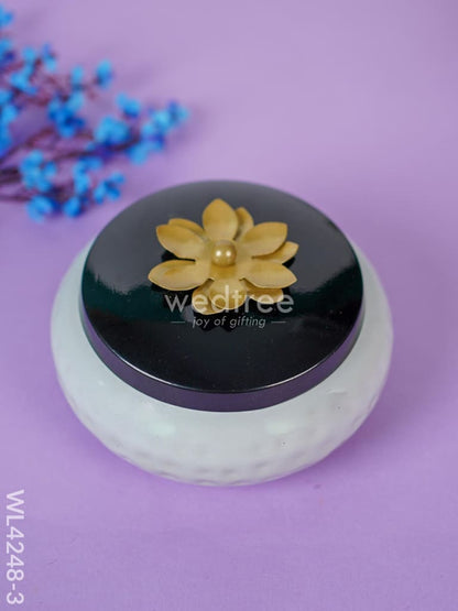 Dry Fruit Container - WL4248