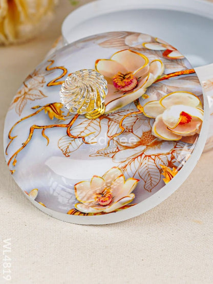 Dry Fruit Container - WL4819