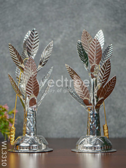 German Silver Banana Tree - 8 inch - WL3310