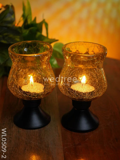 Glass Vase T Light Holder 5 Inches - (Set of 2) - WL0509