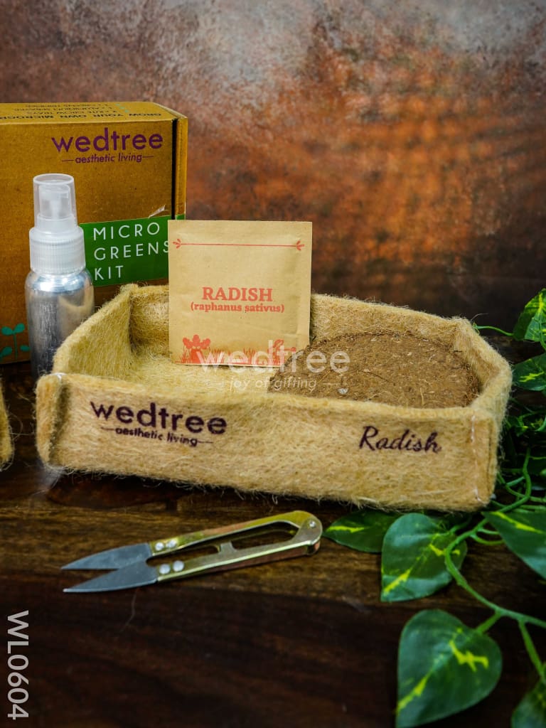 Microgreens Kit - 2 Seed Variant - Radish and Basil - WL0604