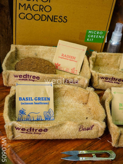 Microgreens Kit - 4 Seed Variant - Radish, Broccoli, Mustard and Basil - WL0605
