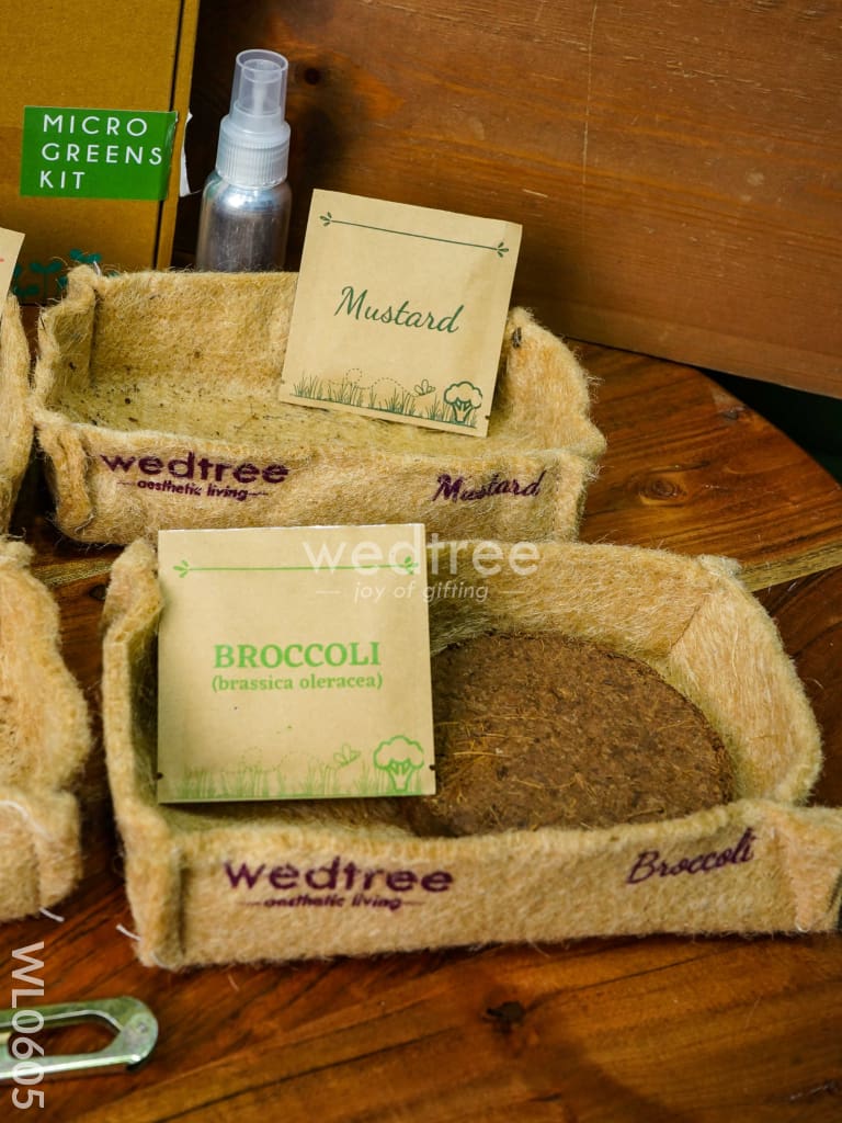 Microgreens Kit - 4 Seed Variant - Radish, Broccoli, Mustard and Basil - WL0605