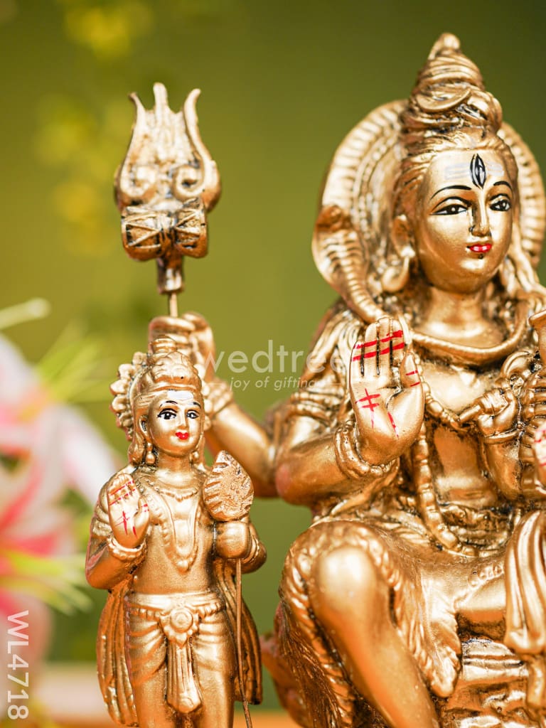 Polyresin Shivan Parvathi Idol - 9 inch - WL4718