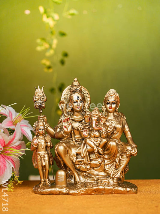 Polyresin Shivan Parvathi Idol - 9 inch - WL4718