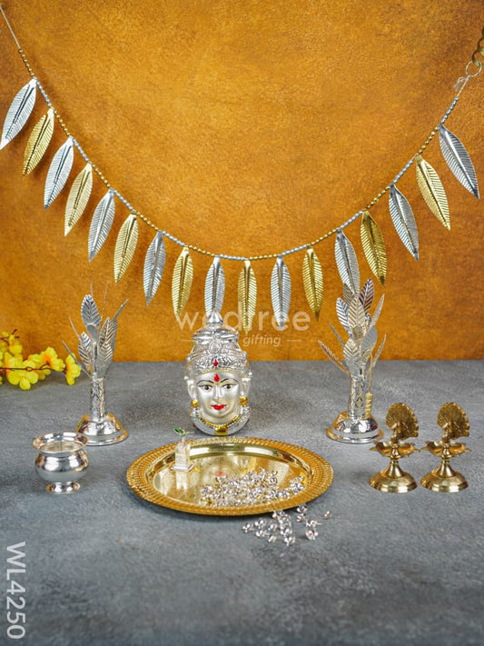 Varamahalakshmi Pooja Combo 3 - WL4250