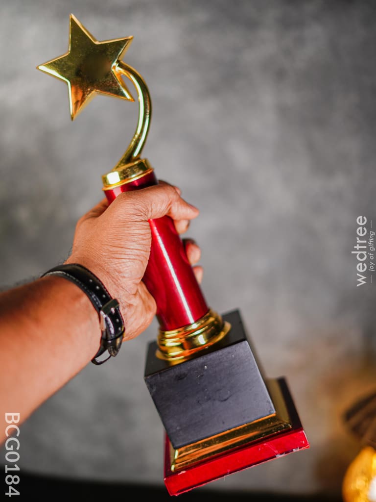 Gold Star Trophy - 15 Inch Bcg0184 Branding