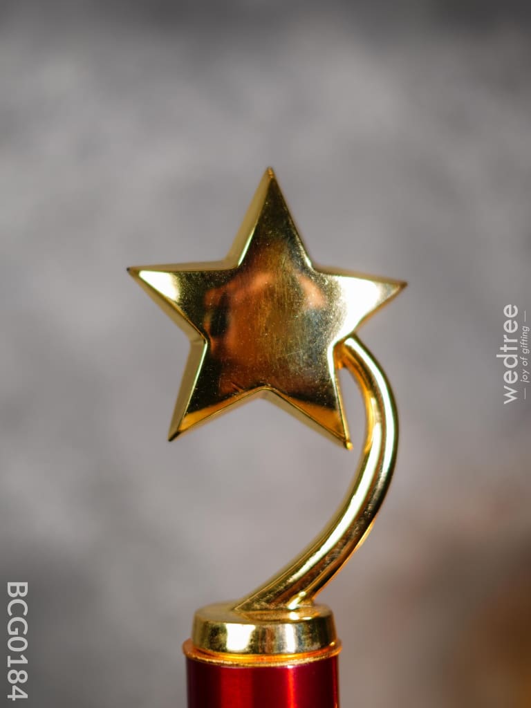Gold Star Trophy - 15 Inch Bcg0184 Branding